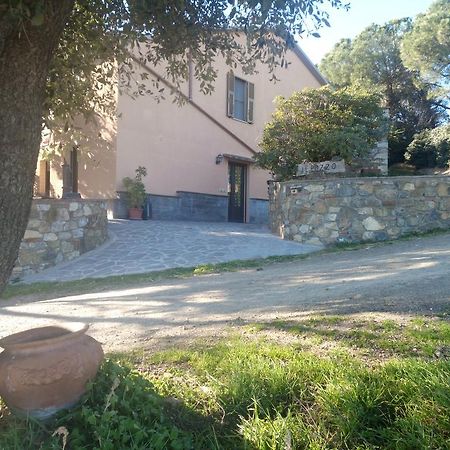 Agriturismo Il Pozzo Campagnatico Exterior foto